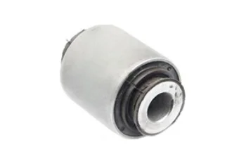 SALINCAK BURCU, ARKA