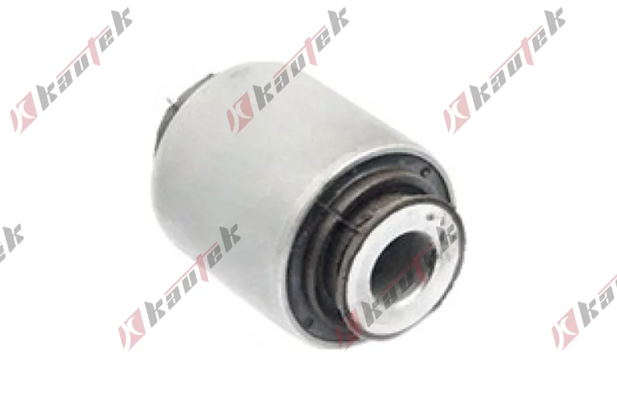 SALINCAK BURCU, ARKA