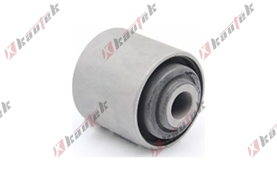 SALINCAK - DENGE KOLU BURCU, ARKA SAG / SOL