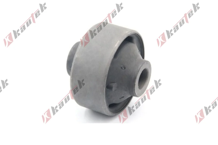 SALINCAK BURCU ARKA BUYUK