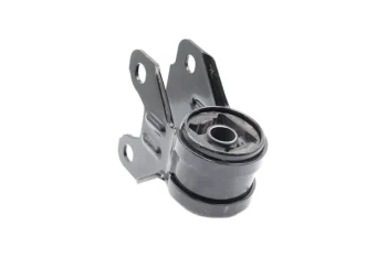 SALINCAK BURCU, ON BUYUK SAG