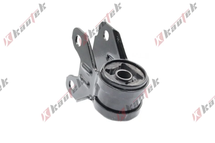 SALINCAK BURCU, ON BUYUK SAG