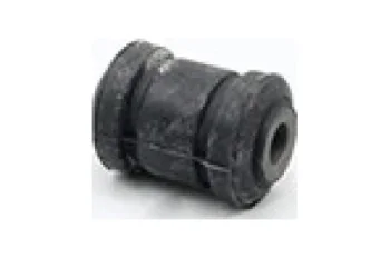 SALINCAK BURCU ORTA KUCUK