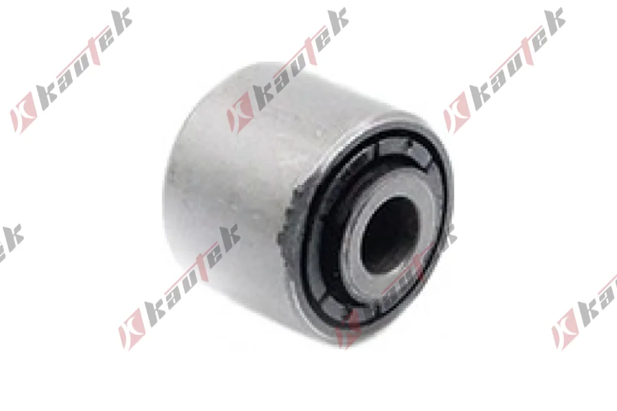 SALINCAK - DENGE KOLU BURCU, ARKA SAG / SOL