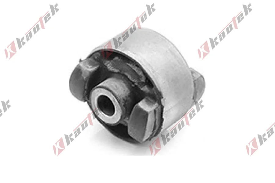 SALINCAK DENGE KOL BURCU, ARKA