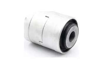 SALINCAK DEBGE KOL BURCU, ARKA