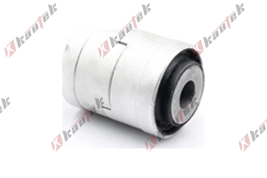 SALINCAK DEBGE KOL BURCU, ARKA