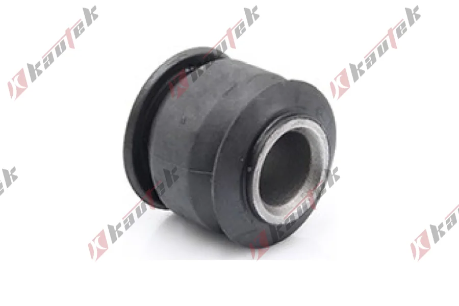 SALINCAK DENGE KOL BURCU, ARKA