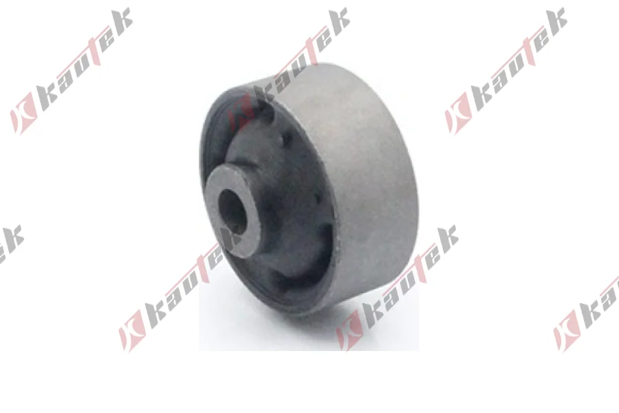 SALINCAK - DENGE KOL BURCU, ARKA