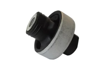 SALINCAK BURCU BUYUK