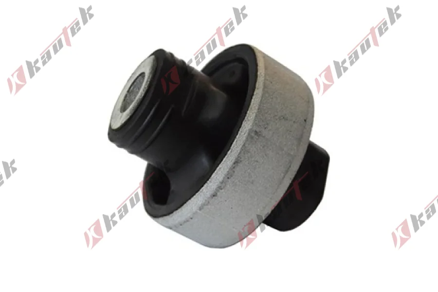 SALINCAK BURCU BUYUK