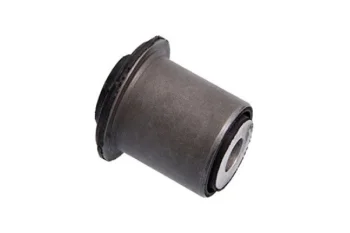 SALINCAK DENGE KOL BURCU, ARKA