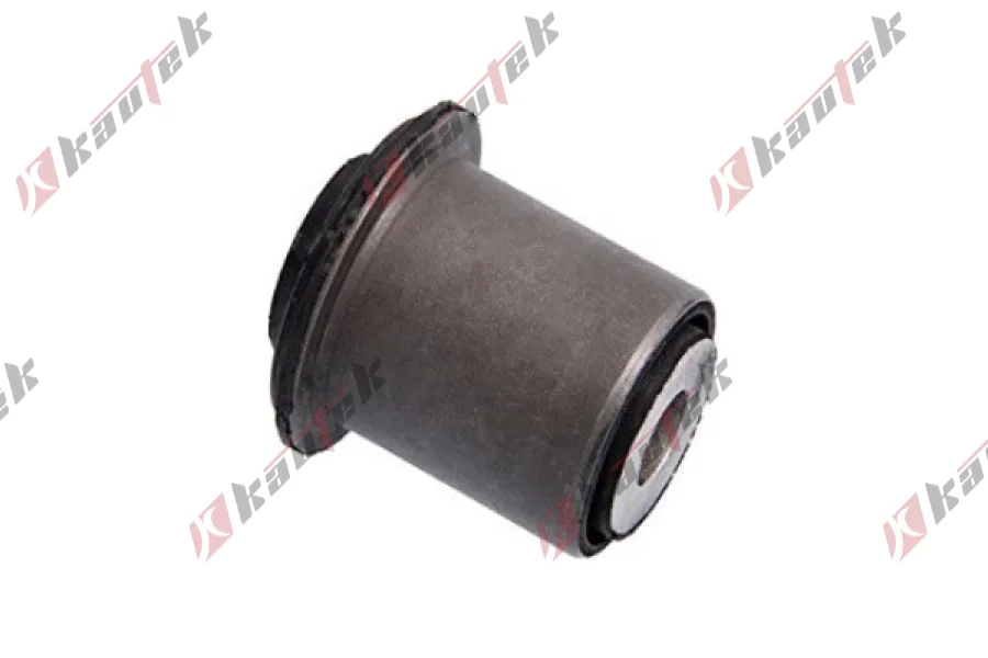 SALINCAK DENGE KOL BURCU, ARKA