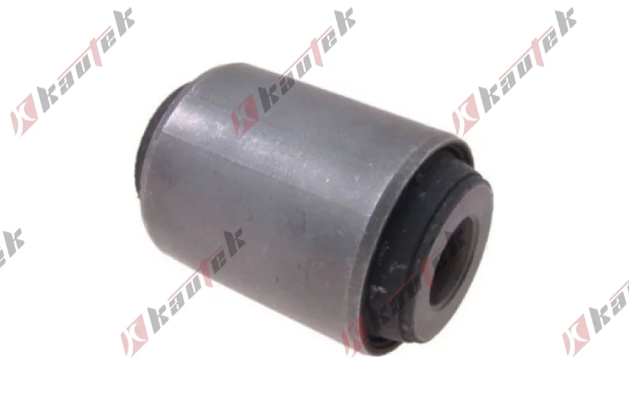 SALINCAK - DENGE KOLU BURCU, ARKA SAG / SOL