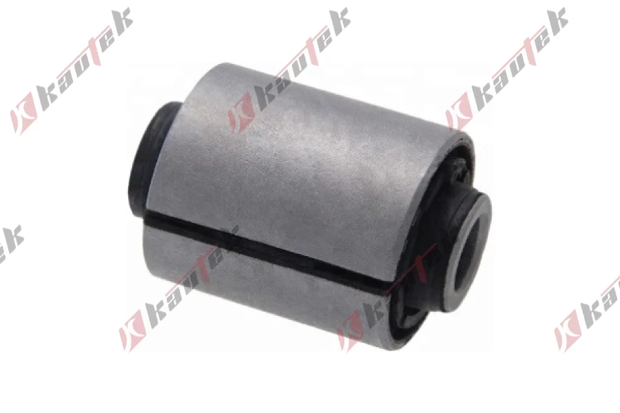 SALINCAK DENGE KOL BURCU, ARKA