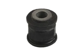 SALINCAK DENGE KOL BURCU, ARKA