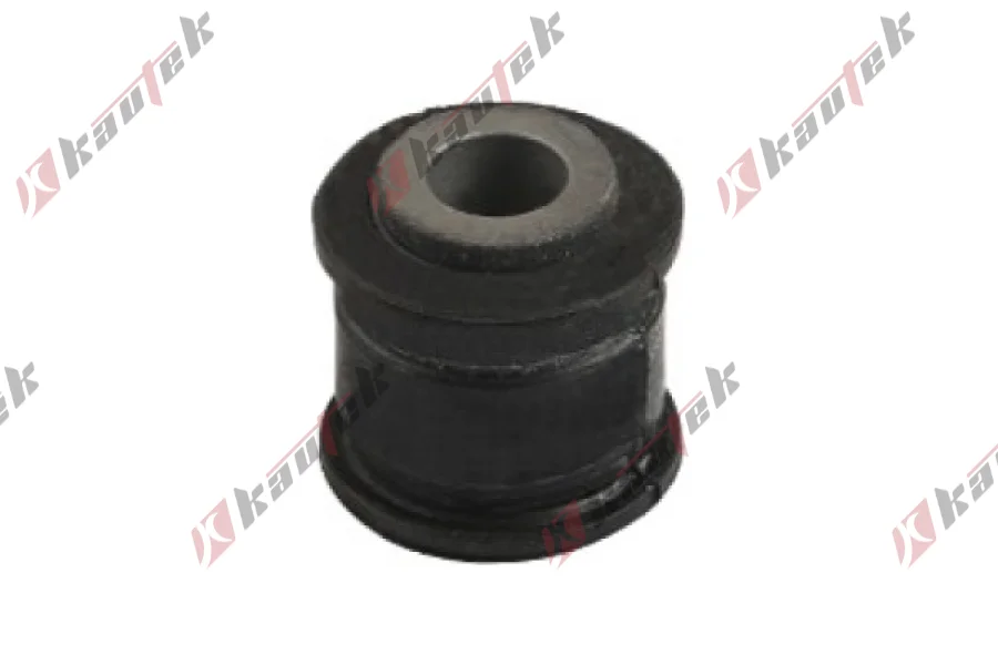 SALINCAK DENGE KOL BURCU, ARKA