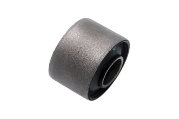 SALINCAK DENGE KOL BURCU ARKA, ALT ON