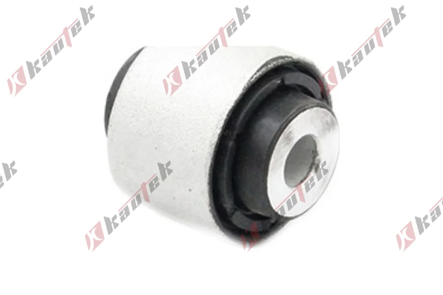 SALINCAK DENGE KOL BURCU, ARKA