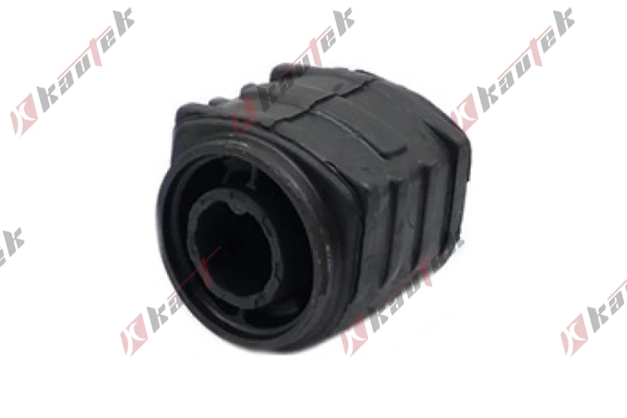 SALINCAK BURCU BUYUK