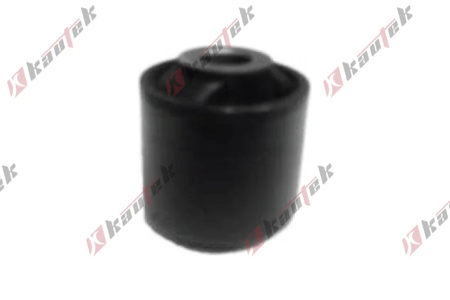 SALINCAK DENGE KOL BURCU, ARKA KUCUK