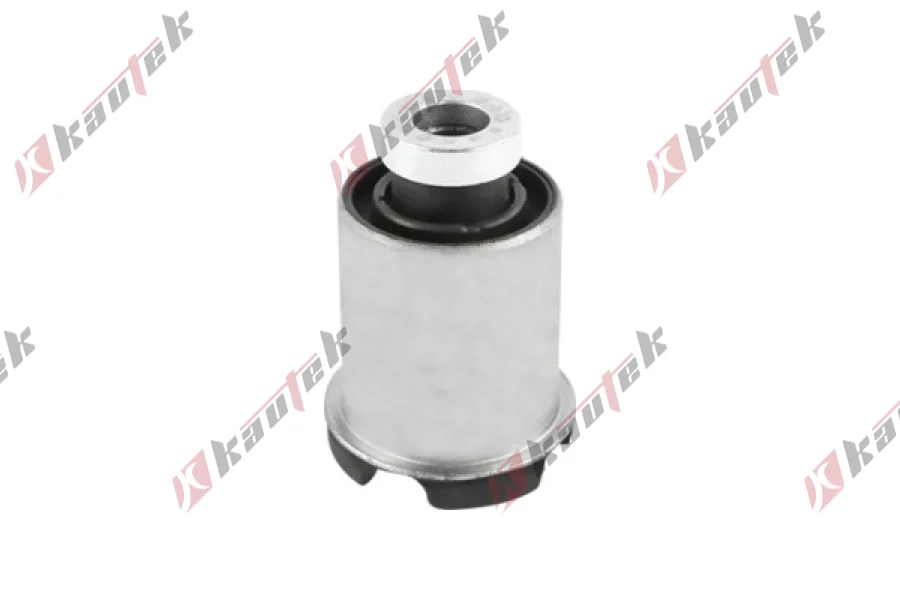 SALINCAK DENGE KOL BURCU, ON IC BURCU