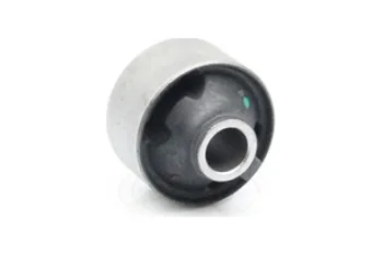 SALINCAK BURCU, ARKA