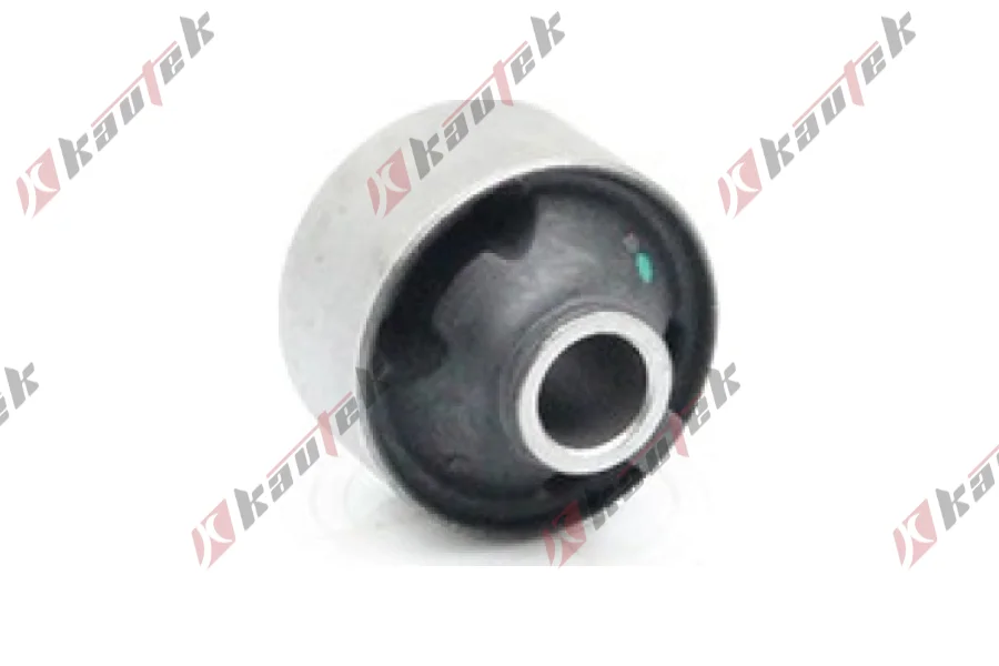 SALINCAK BURCU, ARKA