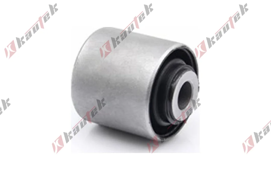 SALINCAK DENGE KOL BURCU, ALT ARKA