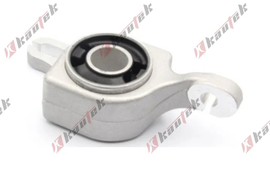 SALINCAK BURCU, ON IC SAG