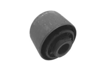 SALINCAK DENGE KOL BURCU, ARKA