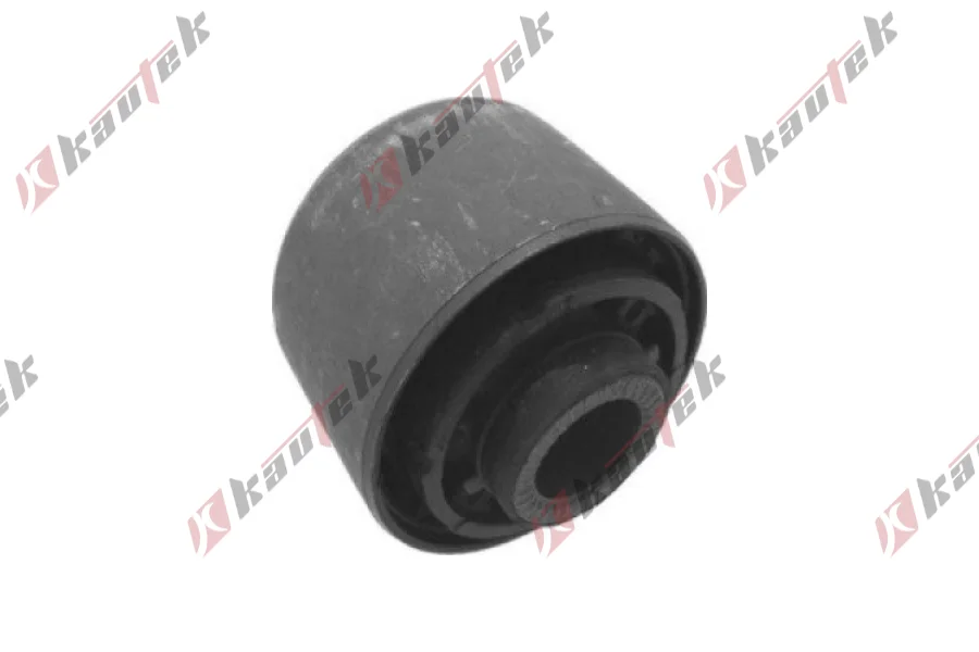 SALINCAK DENGE KOL BURCU, ARKA