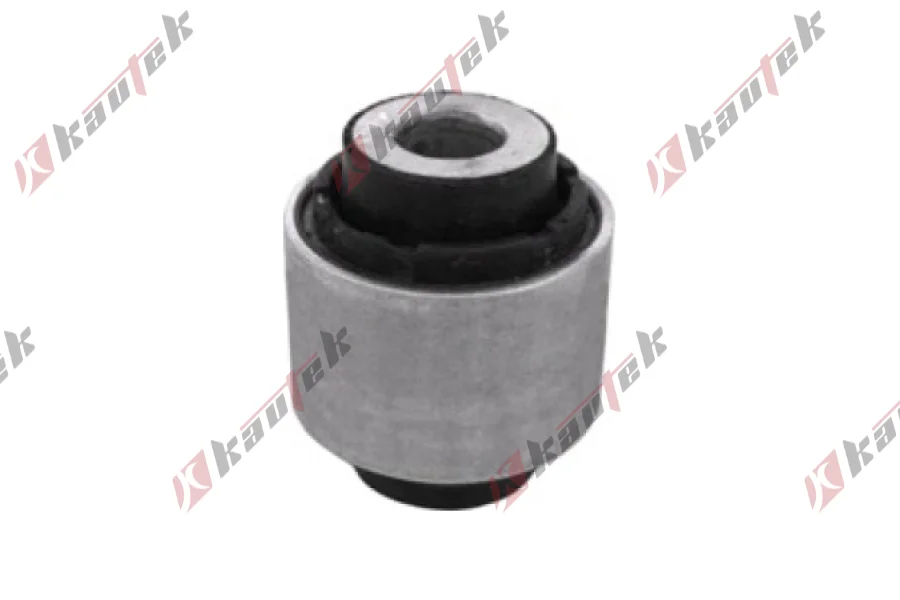 DENGE KOL BURCU ARKA AKS, DIS