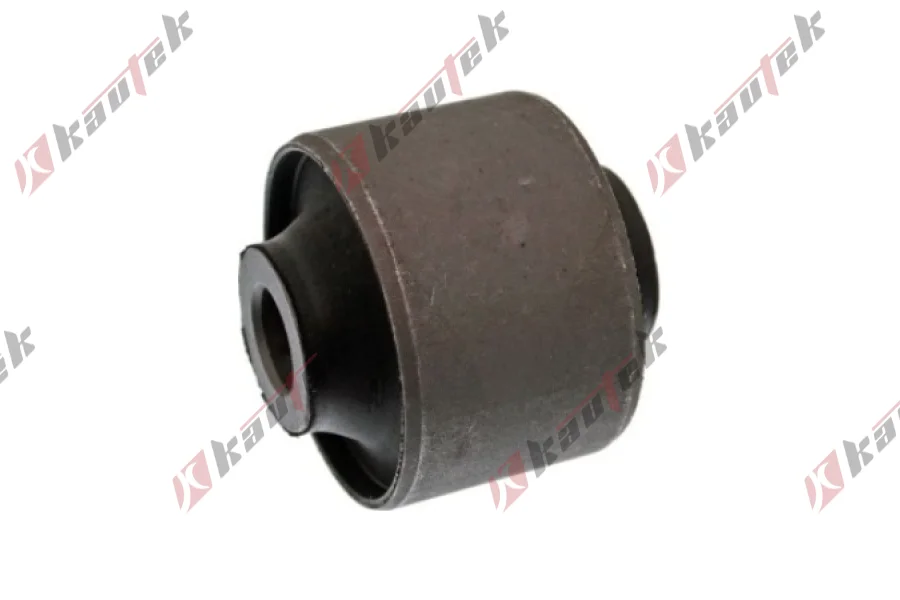 SALINCAK - DENGE KOLU BURCU, ARKA SAG / SOL