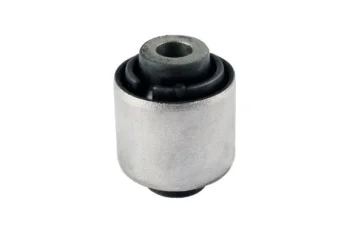 SALINCAK BURCU, ARKA