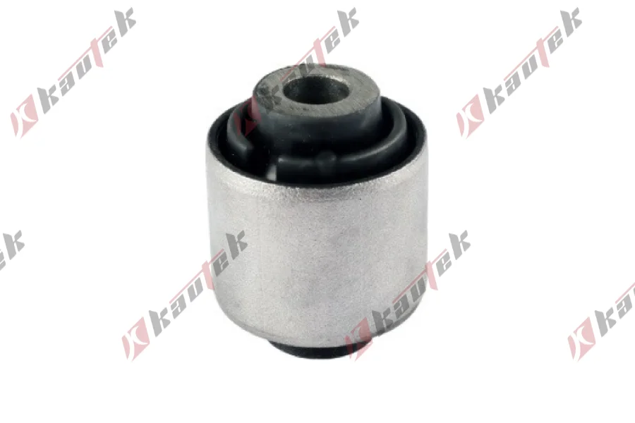 SALINCAK BURCU, ARKA