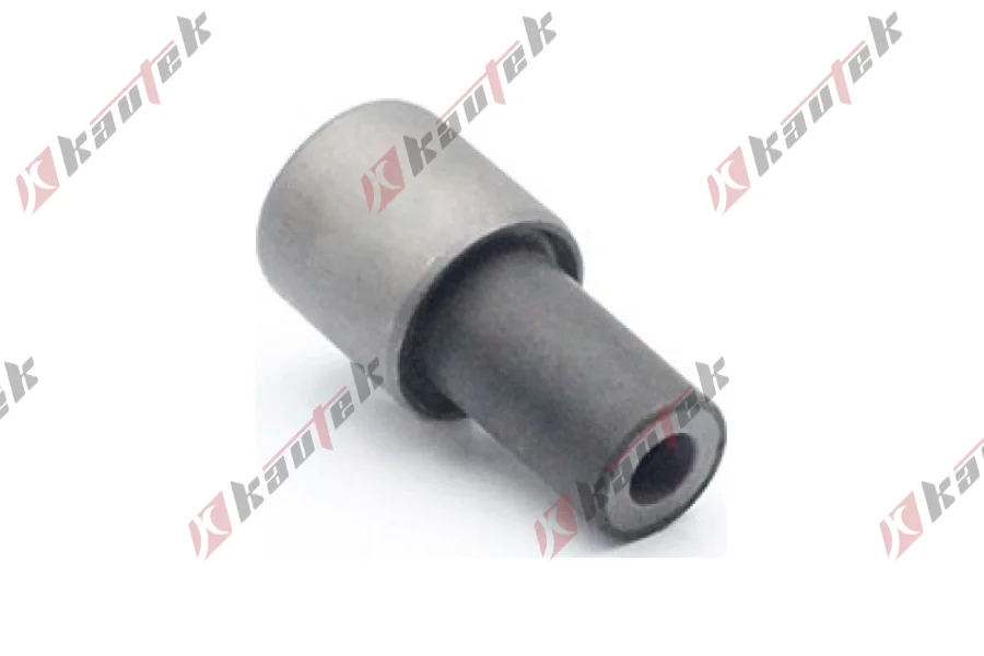 DENGE KOL BURCU, ARKA