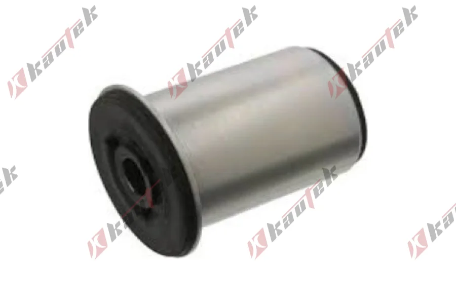 SALINCAK DENGE KOL BURCU, ARKA