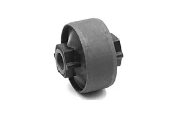 SALINCA BURCU, BUYUK