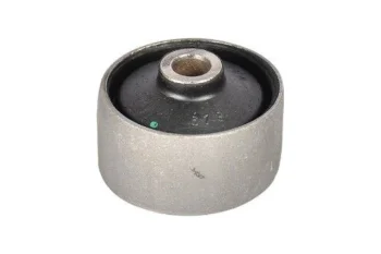 SALINCAK DENGE KOL BURCU, ARKA