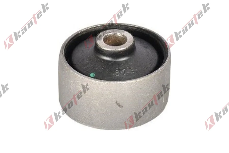 SALINCAK DENGE KOL BURCU, ARKA