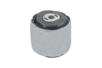 SALINCAK DENGE KOL BURCU