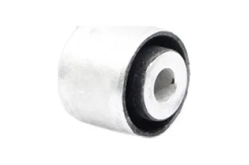 DENGE KOL BURCU, ARKA