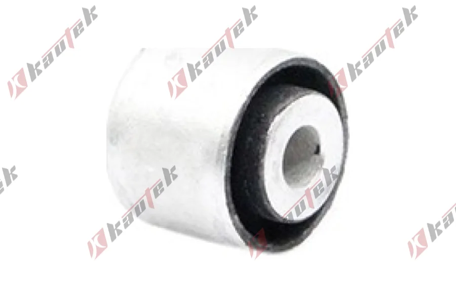 DENGE KOL BURCU, ARKA