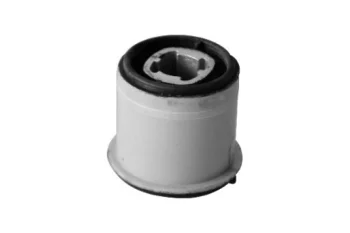 SALINCAK BURCU, ARKA