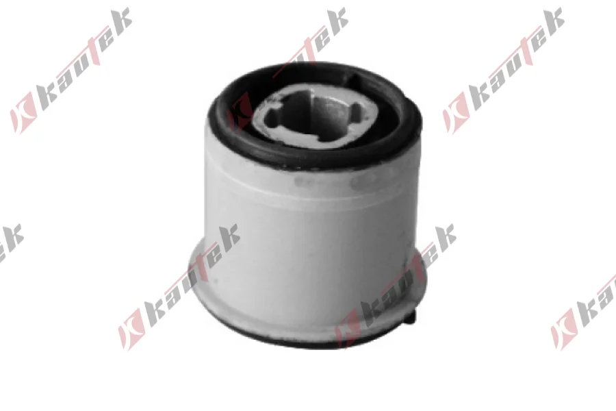 SALINCAK BURCU, ARKA