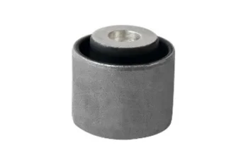 SALINCAK DENGE KOL BURCU