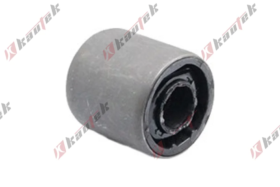 SALINCAK DENGE KOL IC BURCU, ARKA SAG/SOL