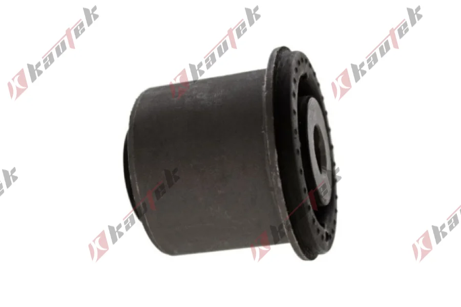 SALINCAK - DENGE KOLU BURCU, ARKA SAG / SOL