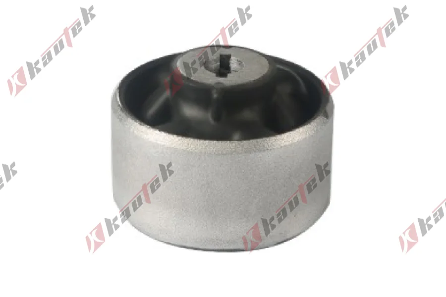 SALINCAK DENGE KOL BURCU